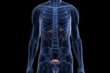 Terapie Mini invasive, Terapie Mini-Invasive