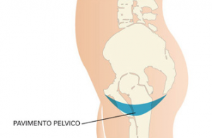 Pavimento pelvico