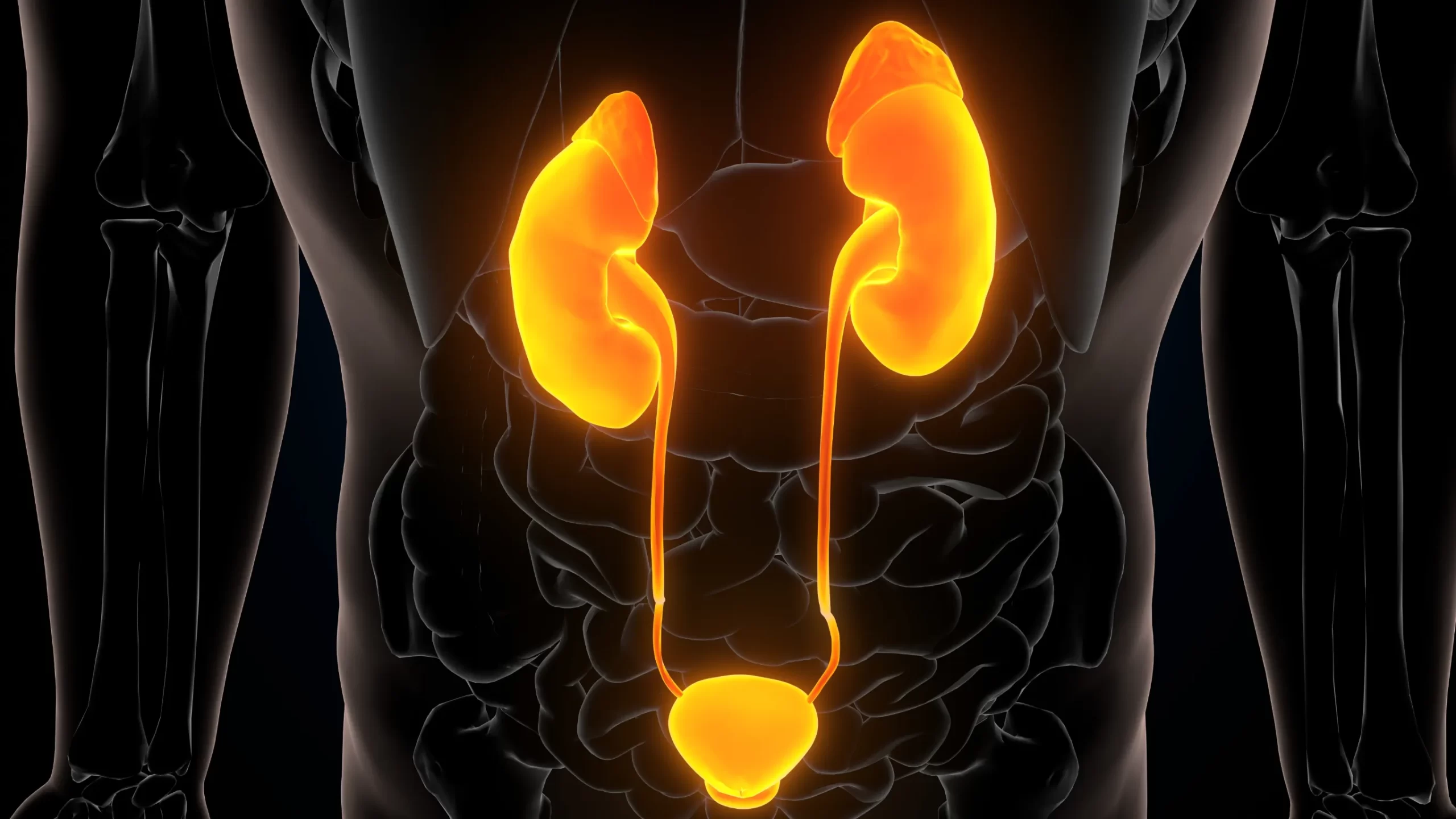 ipertrofia prostatica benigna, Ipertrofia prostatica benigna